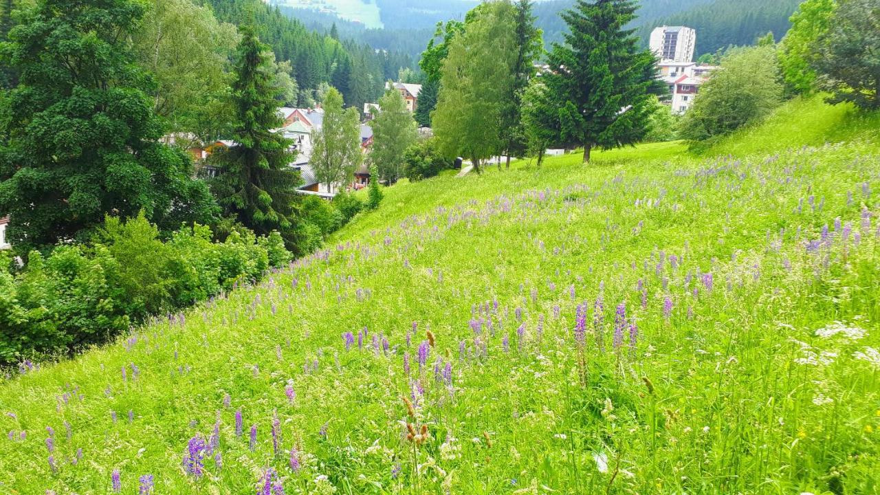 Apartman Liska V Peci - Apartmanovy Dum Horalka, Pec pod Sněžkou Extérieur photo
